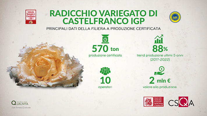 Infografica-Radicchio-Variegato-di-Castelfranco-IGP.JPG