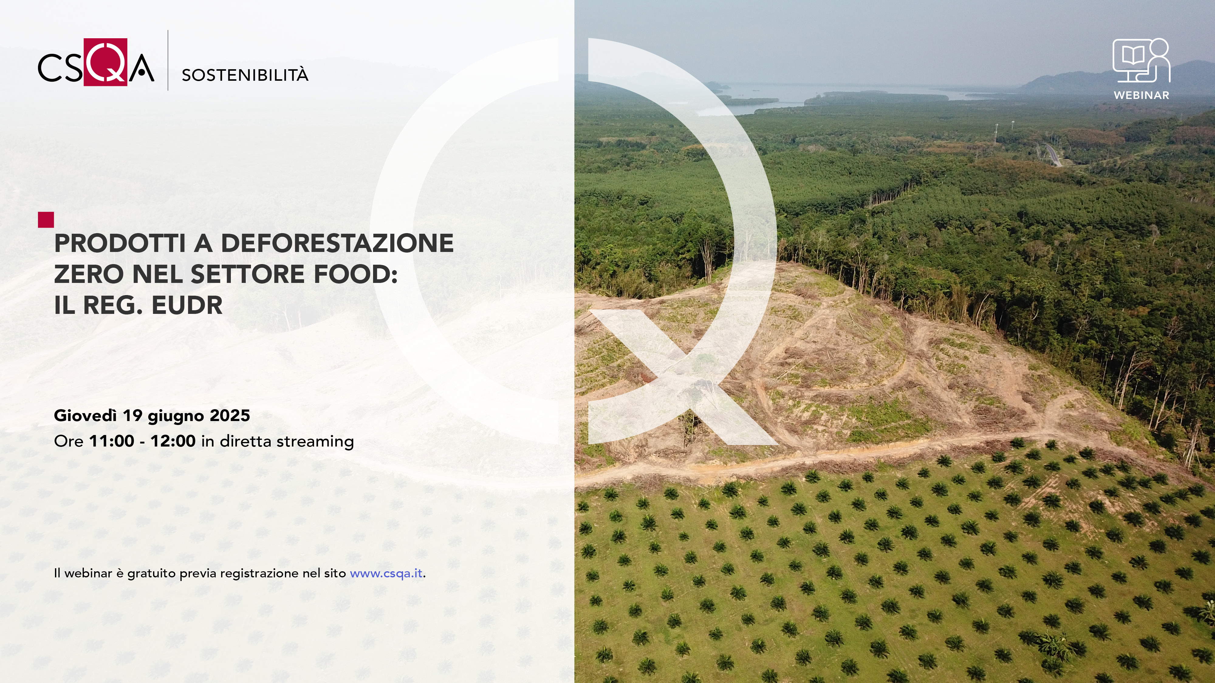 PRODOTTI A DEFORESTAZIONE ZERO NEL SETTORE FOOD: IL REG. EUDR_Img