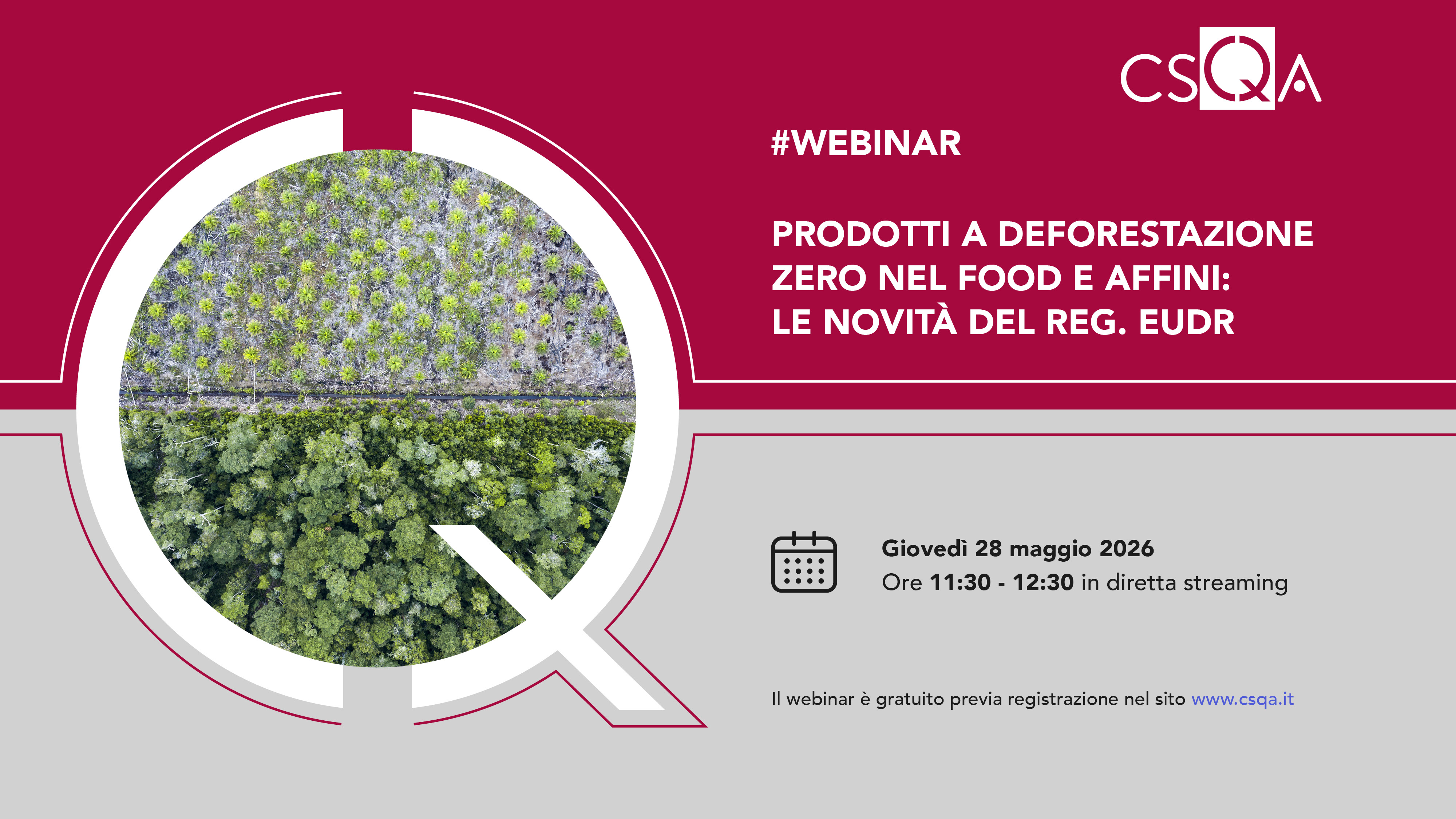 PRODOTTI A DEFORESTAZIONE ZERO NEL  FOOD E AFFINI: LE NOVITÀ DEL REG. EUDR_Img