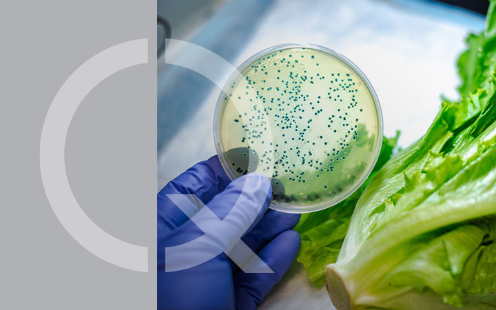 FOOD DEFENSE: GUIDA PRATICA_Img