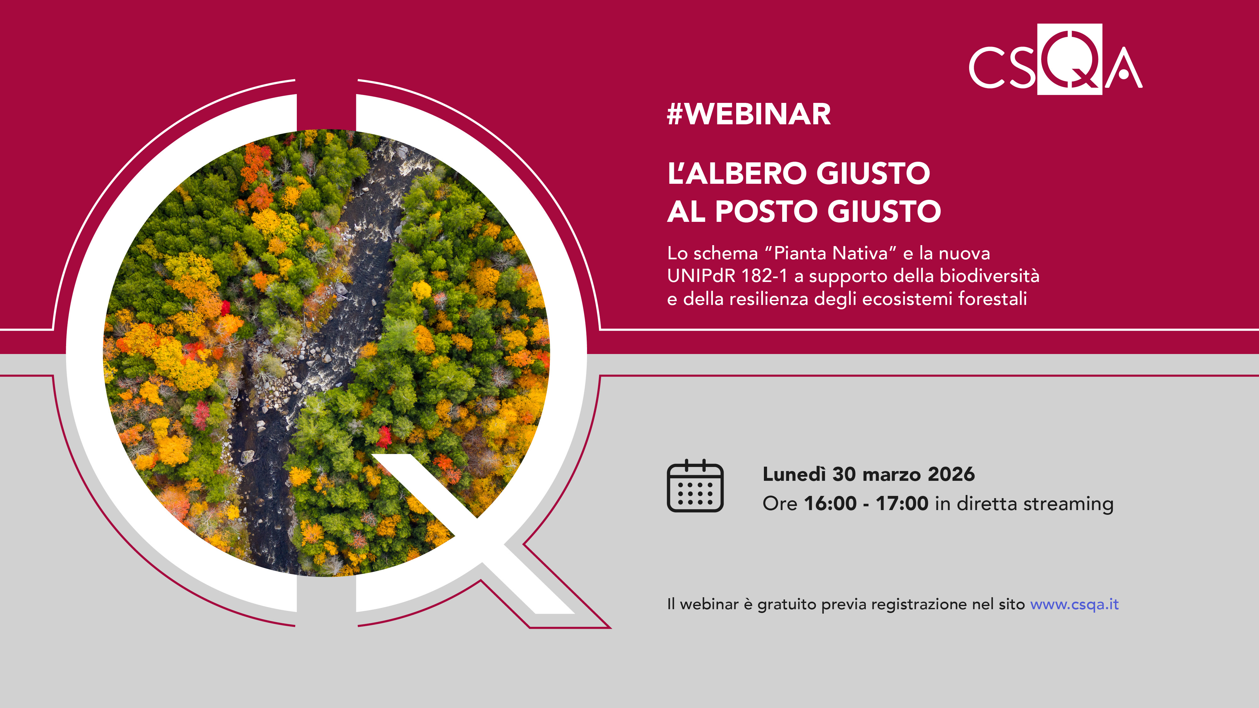 L'ALBERO GIUSTO AL POSTO GIUSTO_Img