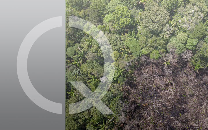 IL REG. EUDR: DEFORESTAZIONE ZERO PER I PRODOTTI ALIMENTARI_Img