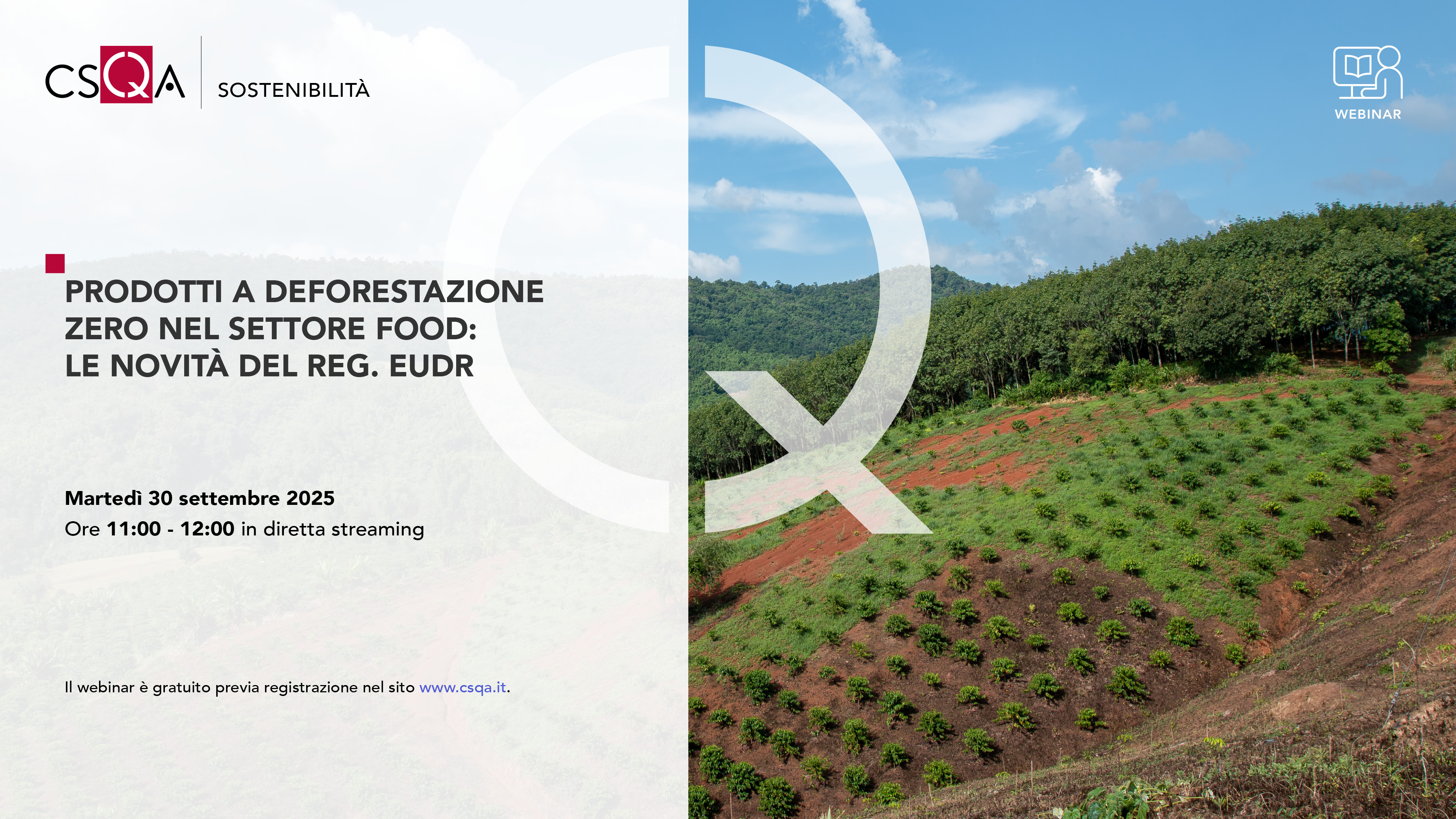 PRODOTTI A DEFORESTAZIONE ZERO NEL SETTORE FOOD: LE NOVITÀ DEL REG. EUDR_Img